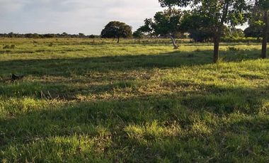 SE VENDE FINCA EN YOPAL VEREDA SAN PASCUAL