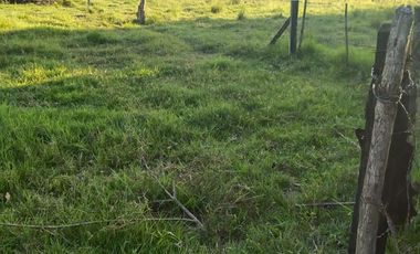 SE VENDE FINCA EN YOPAL VEREDA SAN PASCUAL