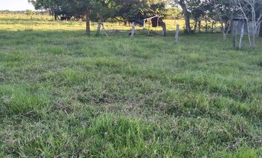 SE VENDE FINCA EN YOPAL VEREDA SAN PASCUAL