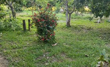 SE VENDE FINCA EN YOPAL VEREDA SAN PASCUAL