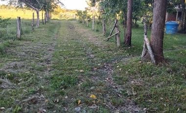 SE VENDE FINCA EN YOPAL VEREDA SAN PASCUAL
