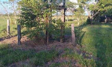 SE VENDE FINCA EN YOPAL VEREDA SAN PASCUAL