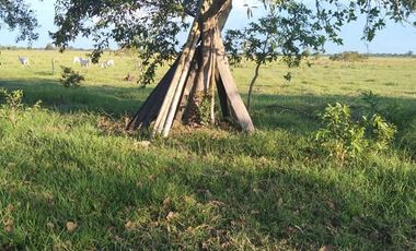 SE VENDE FINCA EN YOPAL VEREDA SAN PASCUAL