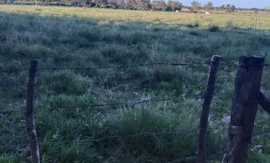 SE VENDE FINCA EN YOPAL VEREDA SAN PASCUAL