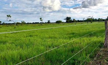 SE VENDE FINCA EN YOPAL VEREDA SAN PASCUAL