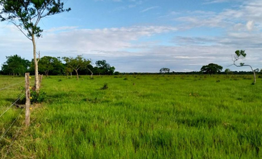 SE VENDE FINCA EN YOPAL VEREDA SAN PASCUAL