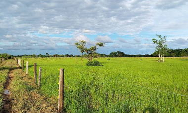 SE VENDE FINCA EN YOPAL VEREDA SAN PASCUAL