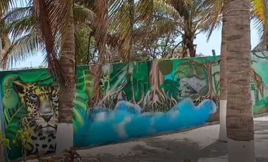 Beach Front Boutique Hotel/Residence