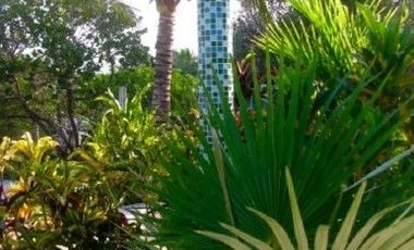 Beach Front Boutique Hotel/Residence