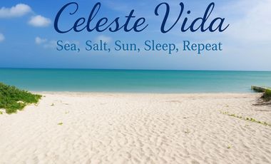 Beach Front Boutique Hotel/Residence