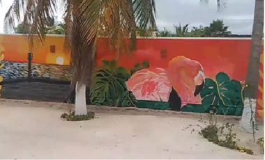 Beach Front Residence