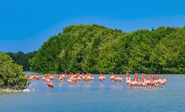 Beach Front Residence