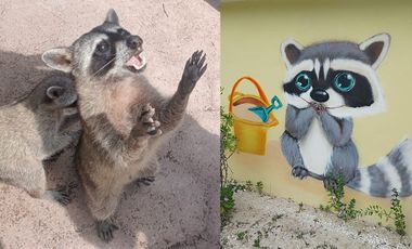 Beach Front Residence