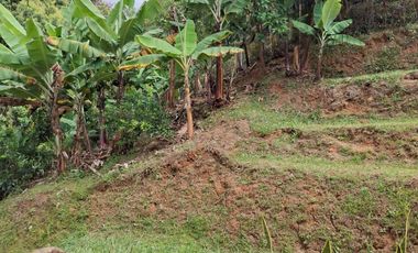 Venta finca Dapa Yumbo Valle del Cauca