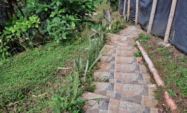 Venta finca Dapa Yumbo Valle del Cauca