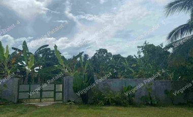 house and lot for sale