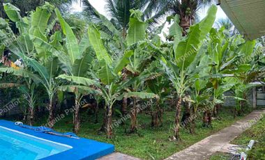 house and lot for sale