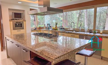 Residencia de Lujo con Bosque Privado, Jardín y Domótica