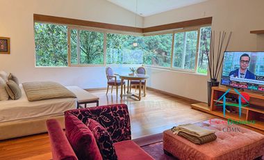 Residencia de Lujo con Bosque Privado, Jardín y Domótica