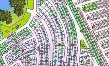 LOT FOR SALE AT GREENWOODS SOUTH BATANGAS CITY NEAR SM BATANGAS