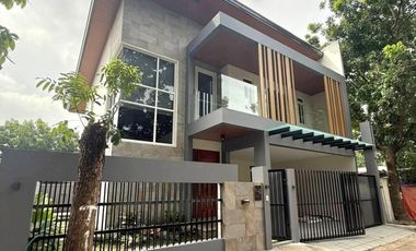 Brand New Modern Tropical Home with JAcuzzi in Sale Angeles City