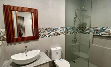 Brand New Modern Tropical Home with JAcuzzi in Sale Angeles City