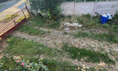 Vendo Propiedad En San Martín 1665, Río Bueno
