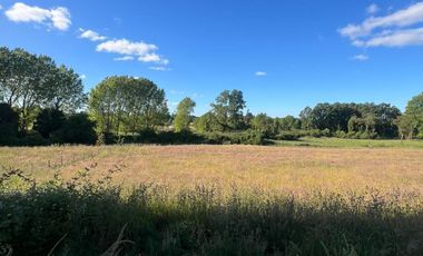Vendo Parcela De Agrado En Sector Vivanco, Lago Ranco