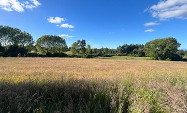Vendo Parcela De Agrado En Sector Vivanco, Lago Ranco