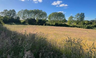 Vendo Parcela De Agrado En Sector Vivanco, Lago Ranco