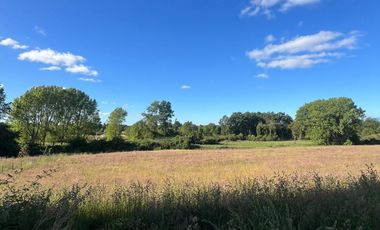 Vendo Parcela De Agrado En Sector Vivanco, Lago Ranco