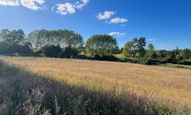 Vendo Parcela De Agrado En Sector Vivanco, Lago Ranco