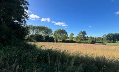 Vendo Parcela De Agrado En Sector Vivanco, Lago Ranco
