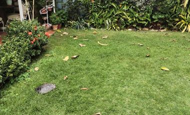 Solar Barrio Centenario Sector Regenerado