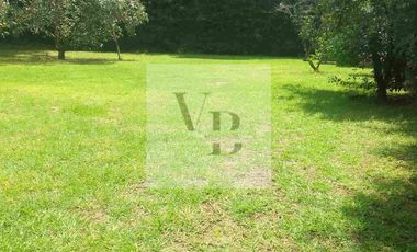 Renta de casa con amplio jardín