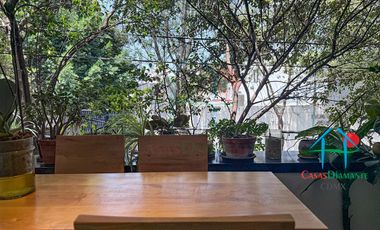 Depto en Roma Norte. 2 niveles, Terraza, 3 Recámaras y Bodega