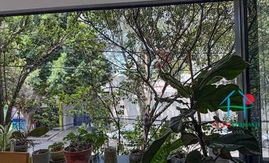 Depto en Roma Norte. 2 niveles, Terraza, 3 Recámaras y Bodega