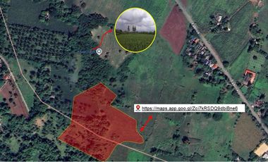 🌴 5-Hectare Residential/Agricultural Lot For Sale – Barangay Bigaas, Calabanga, Camarines Sur