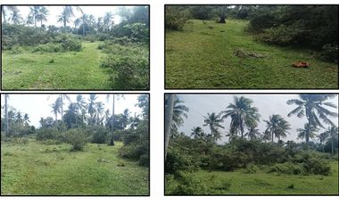 🌴 5-Hectare Residential/Agricultural Lot For Sale – Barangay Bigaas, Calabanga, Camarines Sur