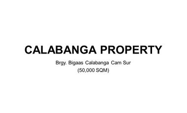 🌴 5-Hectare Residential/Agricultural Lot For Sale – Barangay Bigaas, Calabanga, Camarines Sur