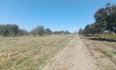 Terreno en Venta en Huejotzingo, Puebla