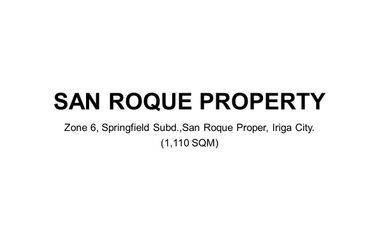 🏘️ House and Lot for Sale – Iriga City, Camarines Sur |  Near City Center