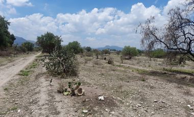 VENTA DE TERRENO EN ACTOPAN