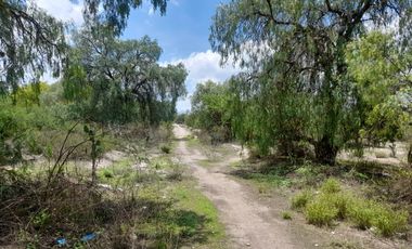 VENTA DE TERRENO EN ACTOPAN