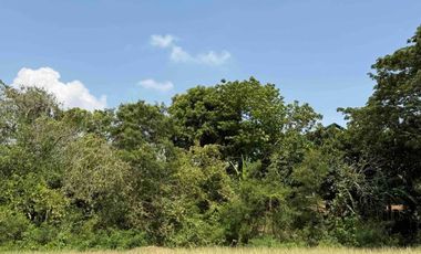 FOR SALE - Residential Vacant Lot in Stonecrest Subd., Brgy. San Vicente, San Pedro, Laguna