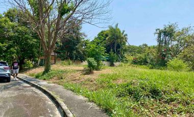 FOR SALE - Residential Vacant Lot in Stonecrest Subd., Brgy. San Vicente, San Pedro, Laguna