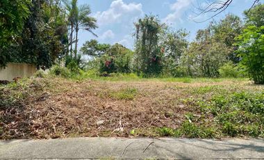 FOR SALE - Residential Vacant Lot in Stonecrest Subd., Brgy. San Vicente, San Pedro, Laguna