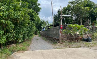 Cheap 7-Rai Land for Sale Near Chiang Mai – Only 1.5M THB