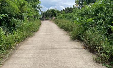 Cheap 7-Rai Land for Sale Near Chiang Mai – Only 1.5M THB