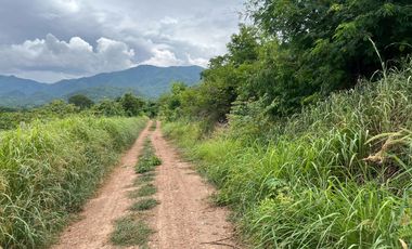 Cheap 7-Rai Land for Sale Near Chiang Mai – Only 1.5M THB